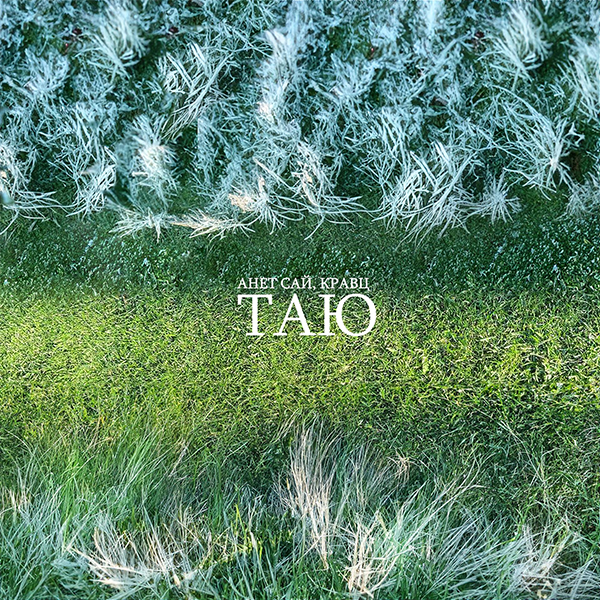 Таю — Обложка песни
