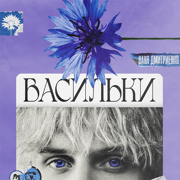 Васильки — Обложка песни