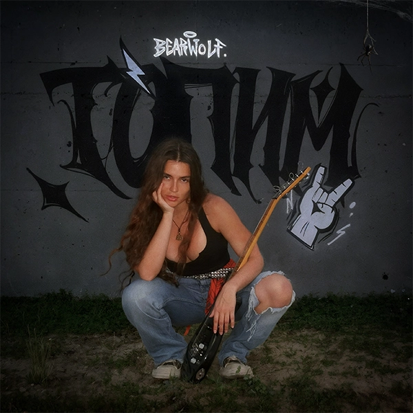 Топим — Обложка песни