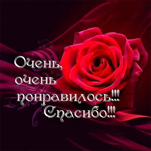 чтобы тронуло — Обложка песни