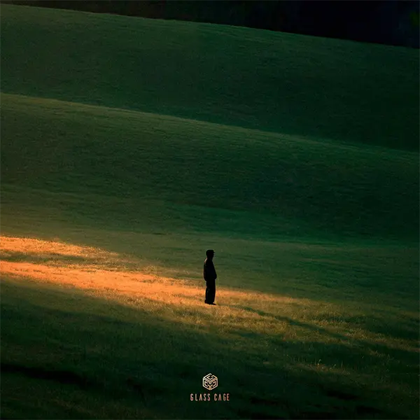 My Soul — Обложка песни